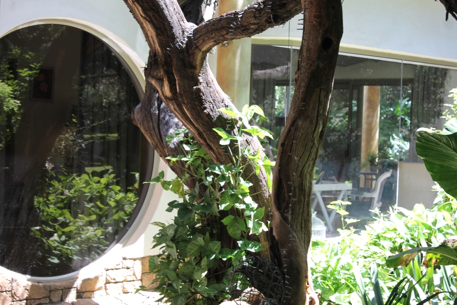 4 Bedroom Property for Sale in Kshane North West